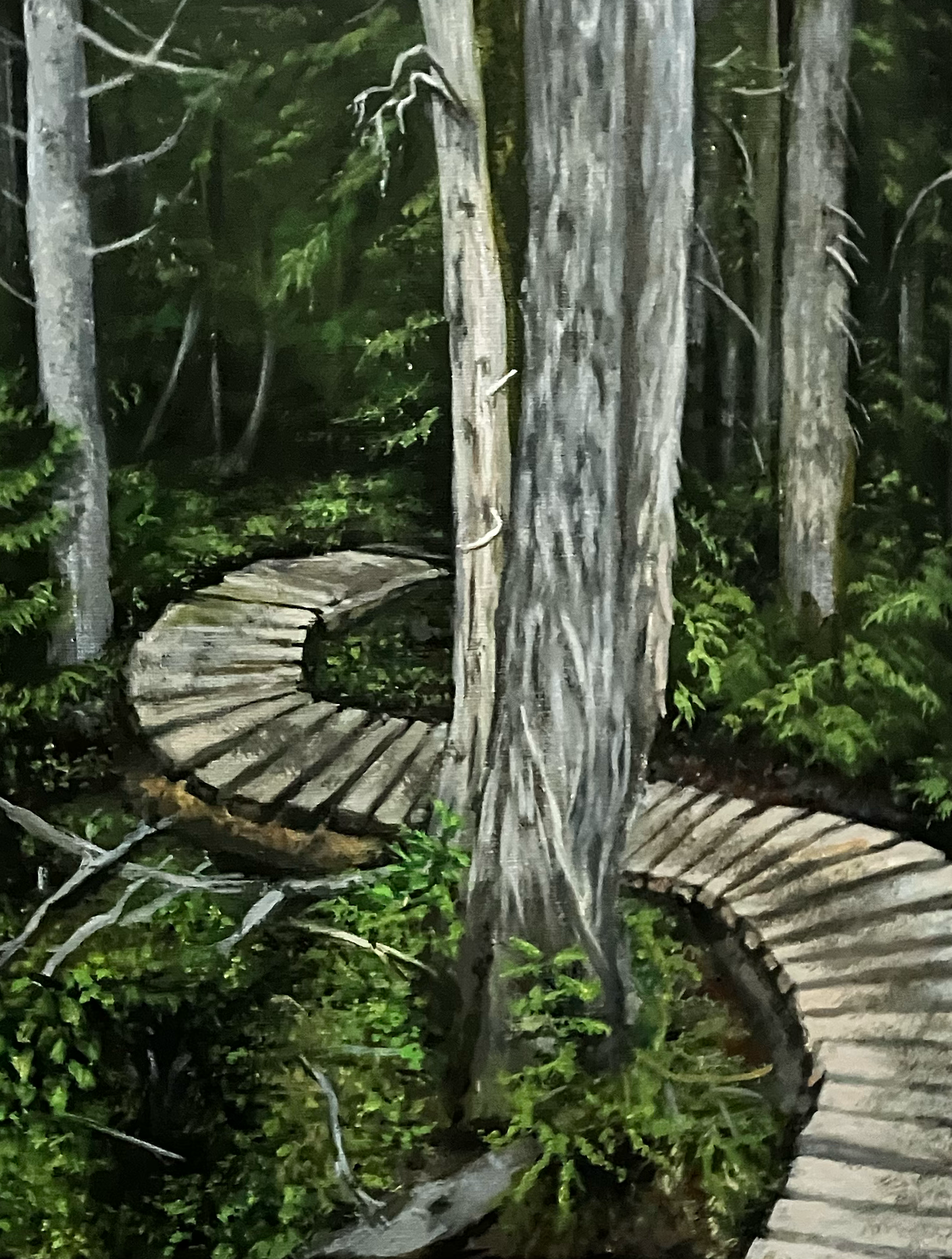 Serpentine Boardwalk