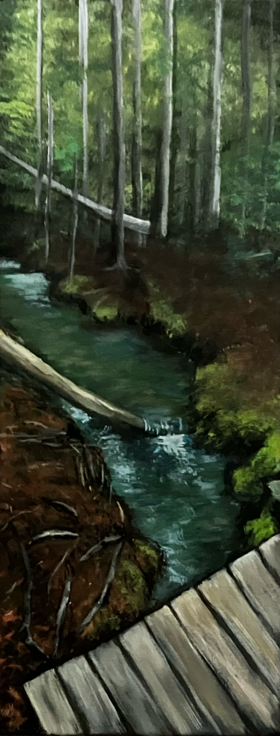 Boardwalk & Brook