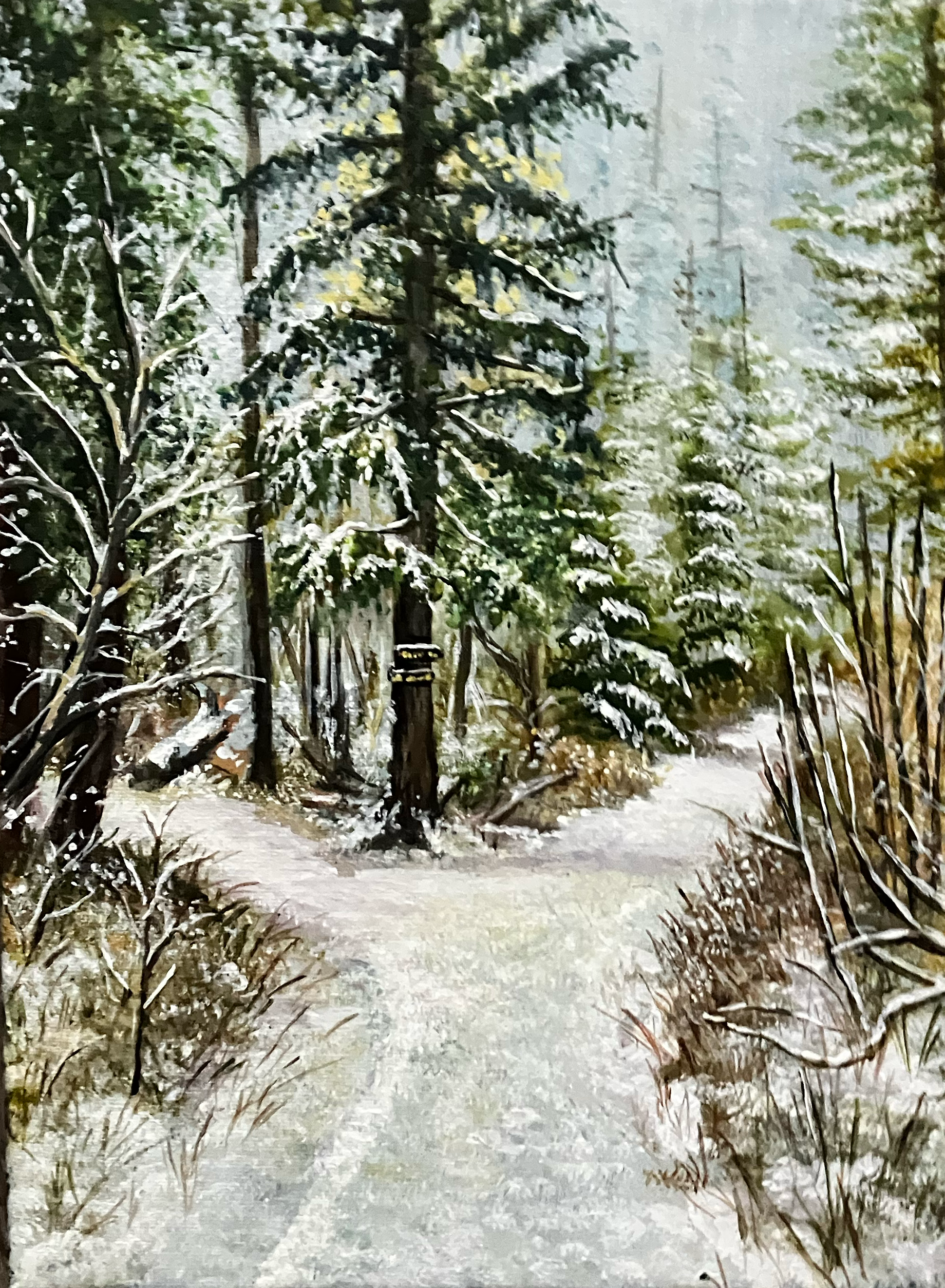 Crossroads in Winter