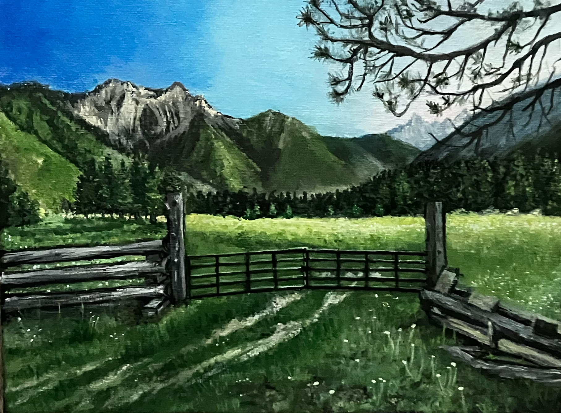 Meadow Gate, White Swan
